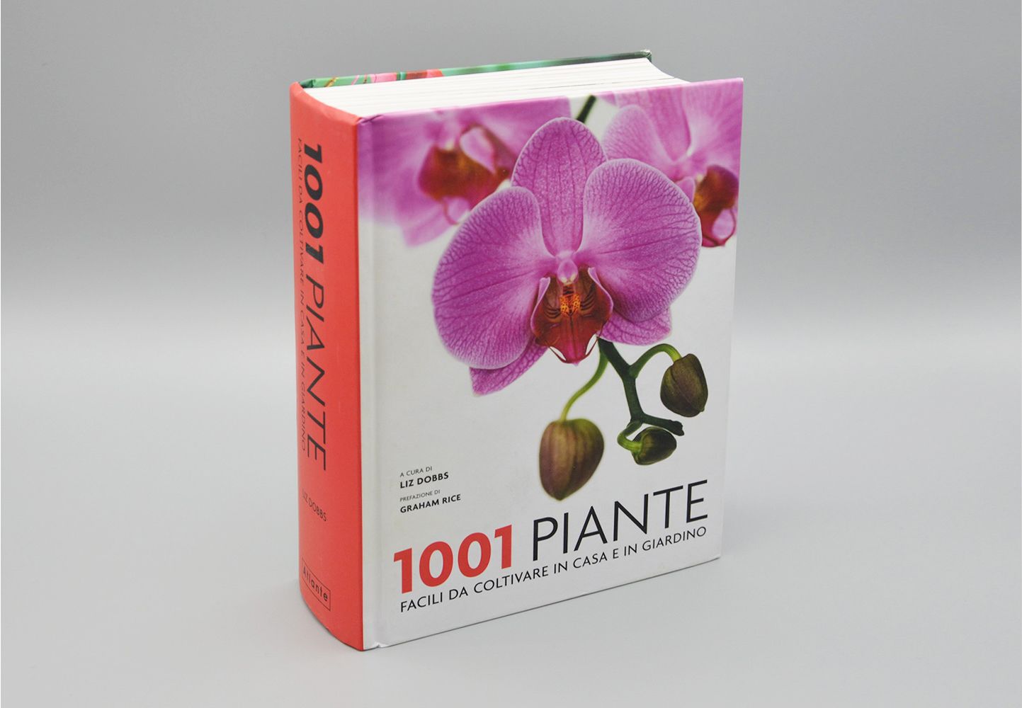 1001 piante facili da coltivare per la casa e il giardino